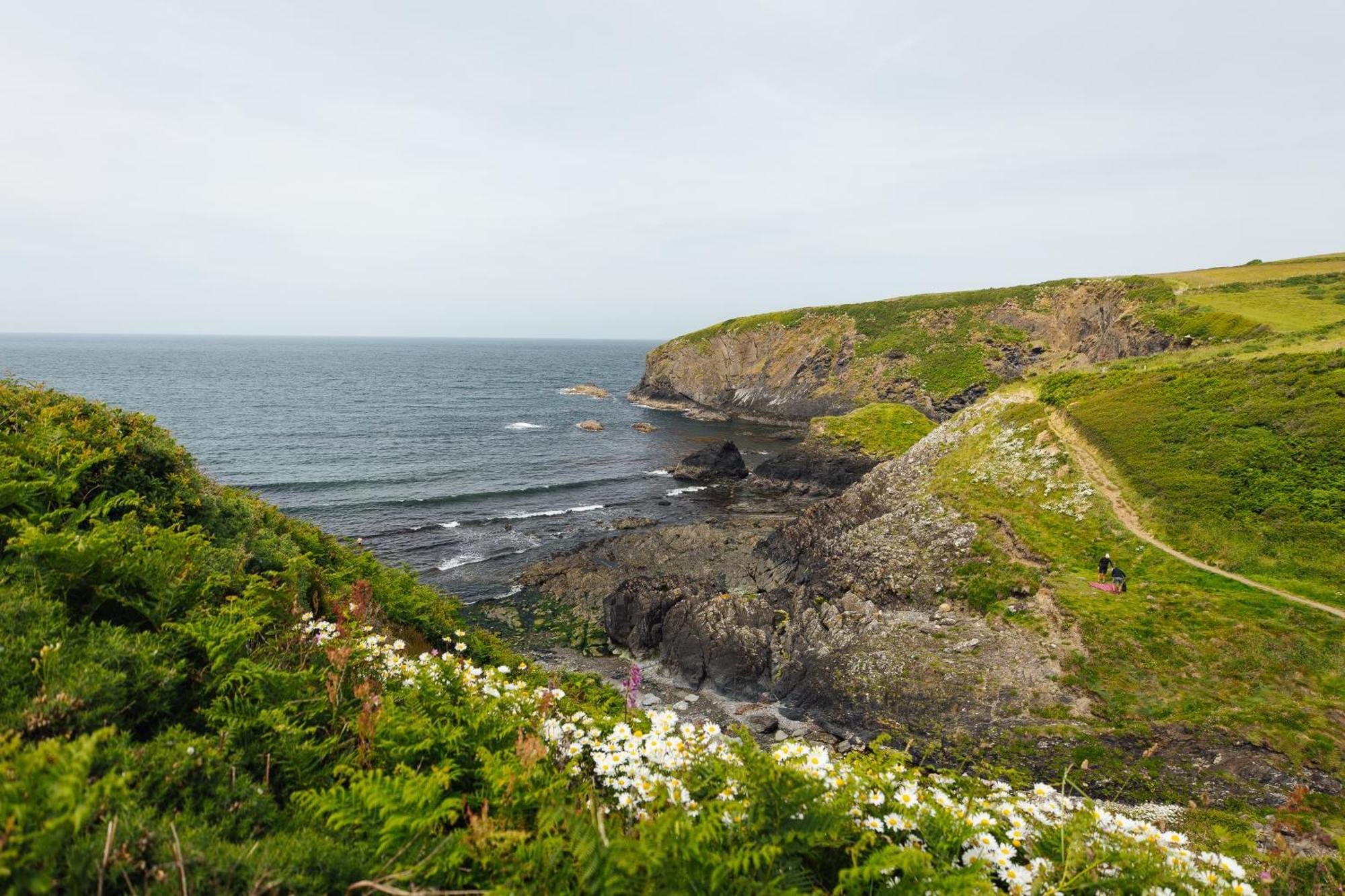 Cliff-Top Cottage On Coast Path W/Panoramic Views Trevine 외부 사진